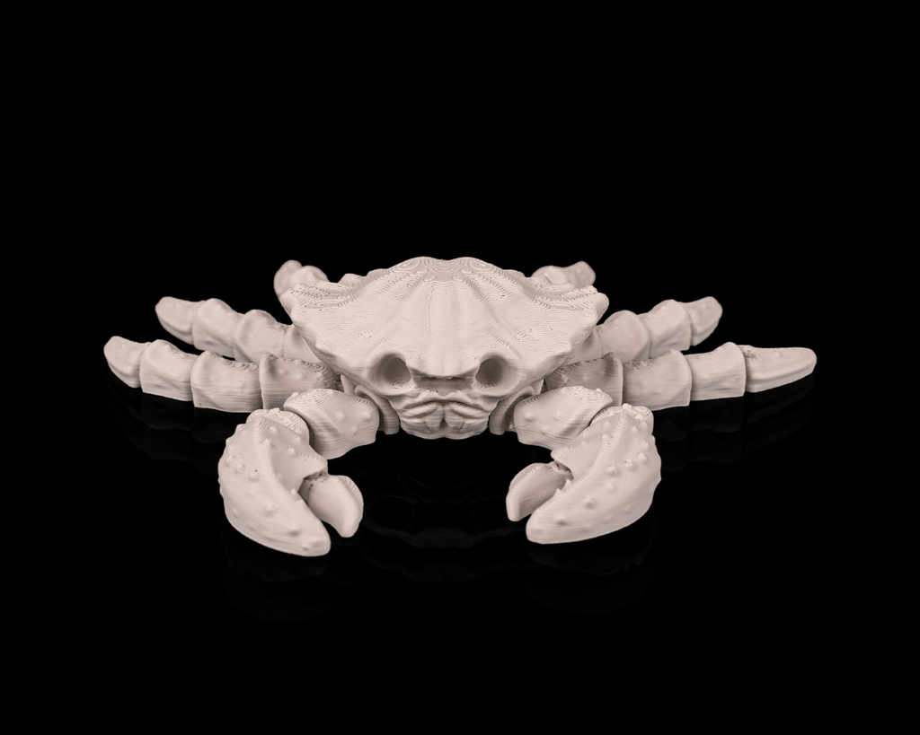 Flexi Skeleton Crab