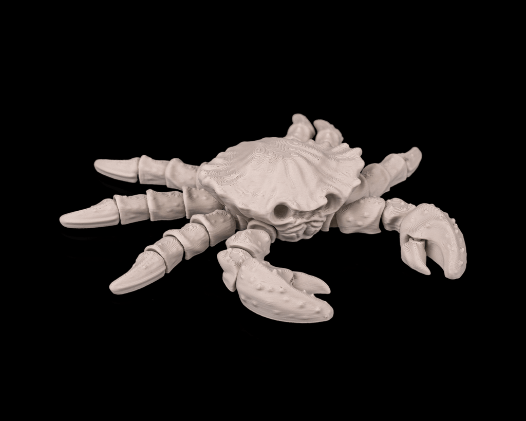 Flexi Skeleton Crab