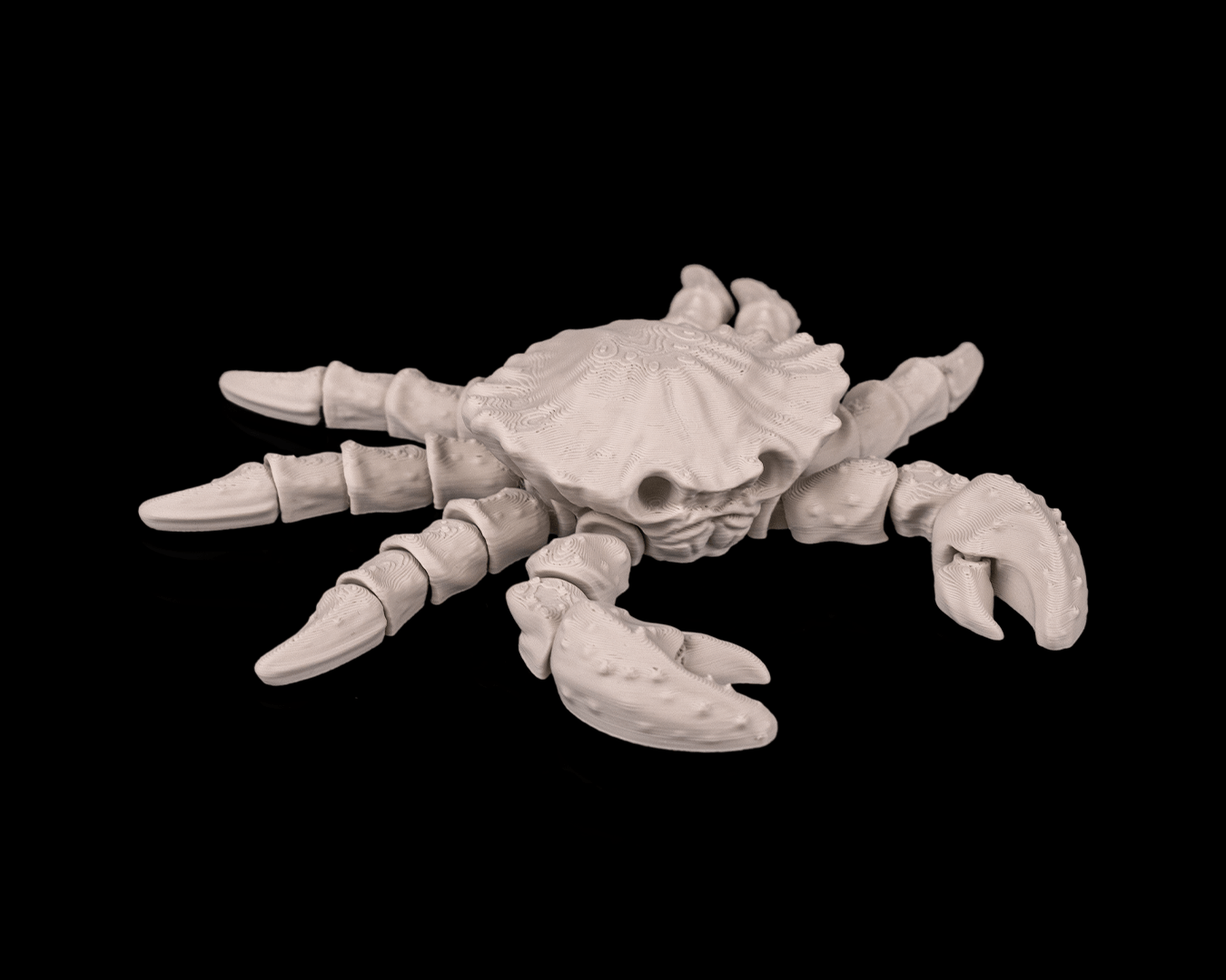 Flexi Skeleton Crab