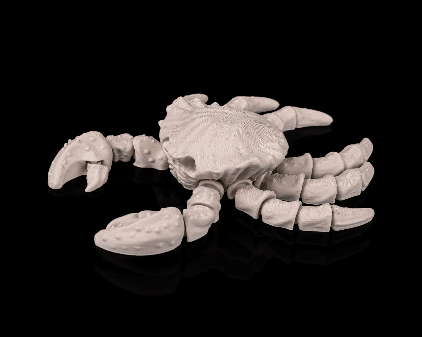Flexi Skeleton Crab